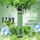 Набор Mr.fog max pro 5% 1700 puffs Mint menthol