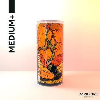 Ароматизатор DARK X SIZE In The Dark Штрудель с яблоком и лимоном MEDIUM Plus