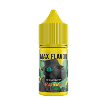 Ароматизатор MAX Flavor Кактус